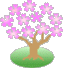 桜の木