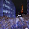 六本木けやき坂イルミネーション2021 ～グループの垣根を越えたコラボ実現？～｜七語