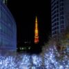 12/7・14 六本木けやき坂・毛利庭園イルミネーション、青の洞窟 SHIBUYA｜七語零黎の